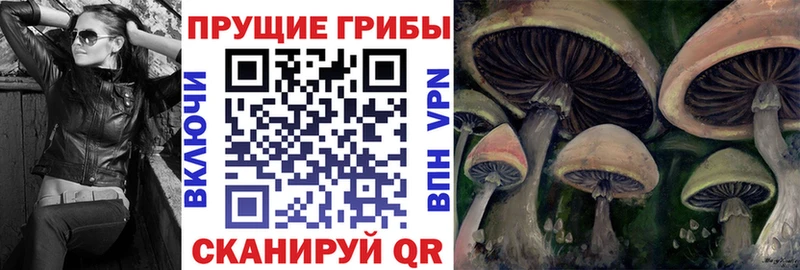Псилоцибиновые грибы Psilocybine cubensis  Верхняя Тура 